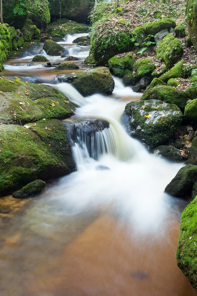 Mountain stream — Stock Photo, Image