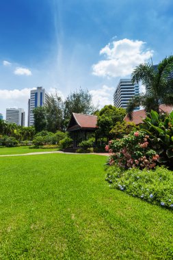 Lumphini Park; Bangkok