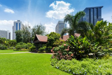 Lumphini Park; Bangkok