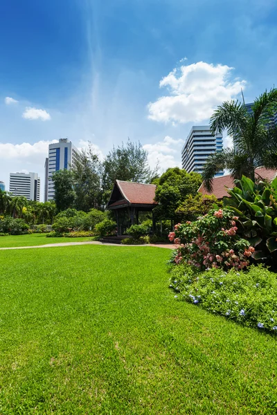 Lumphini Park; Bangkok