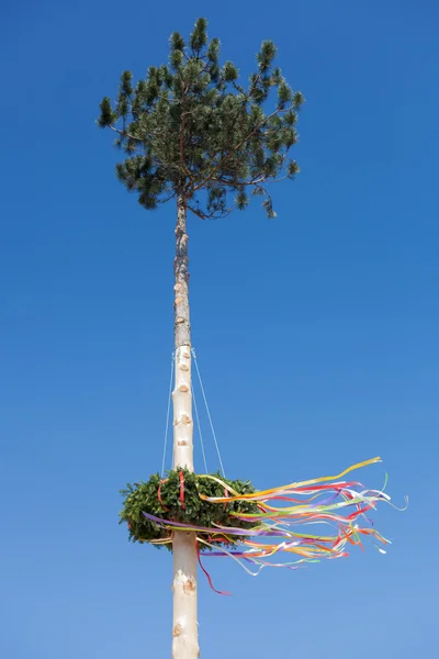 Majstång — Stockfoto