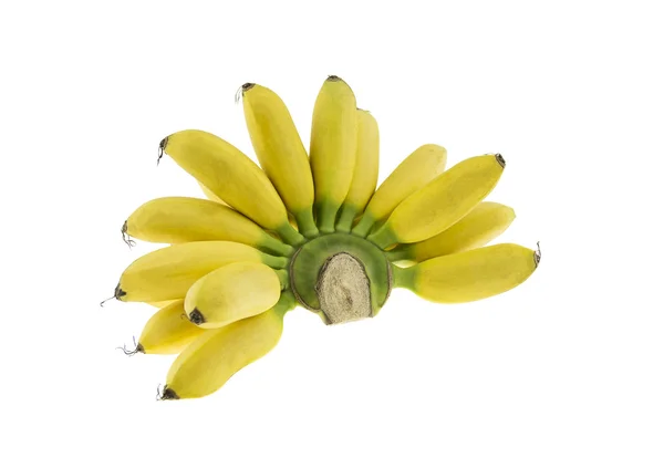 Pisang mas, Banane isoliert auf weißem Hintergrund — Stockfoto