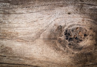 grunge old wood close-up background