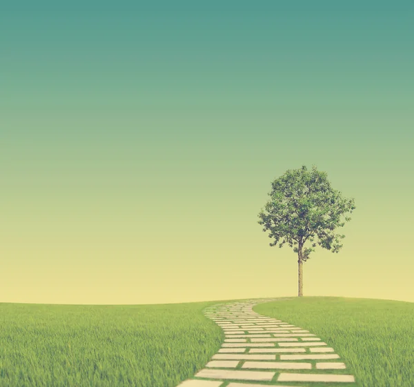 Çimenlerin üzerinde yürüyüş yeşil alanda - vintage doğurur ağaç için