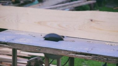 Hızar testereler ahşap açık