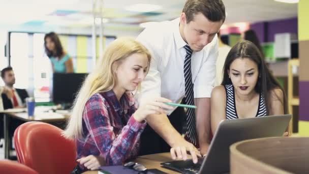 Team aus drei Arbeitern schaut auf Laptop-Bildschirm — Stockvideo