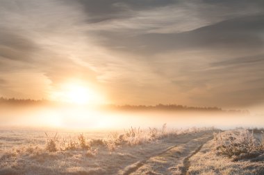 Frosty Sunrise. Landscape photo. clipart