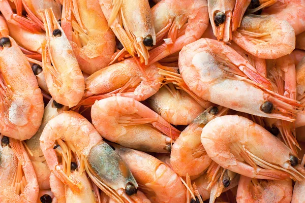 Shrimps background — Stock Photo, Image