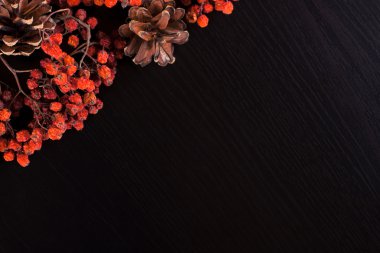 Noel köşe arka plan üzerinde siyah çam