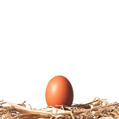 Egg on a straw nest clipart