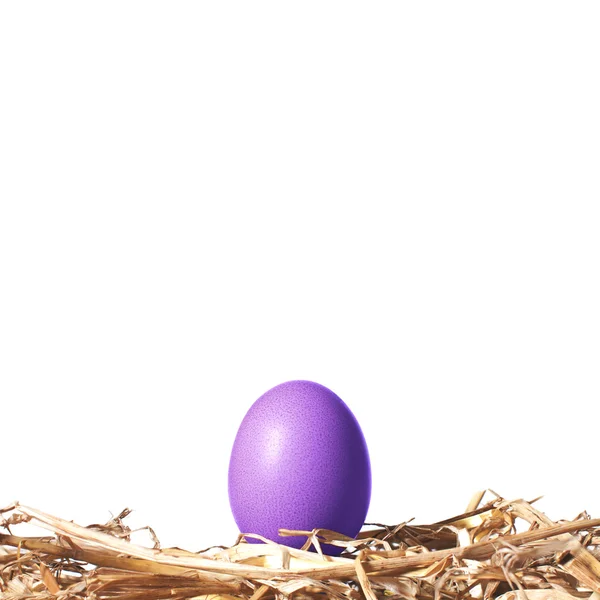 Huevo de Pascua violeta en un nido de paja — Foto de Stock