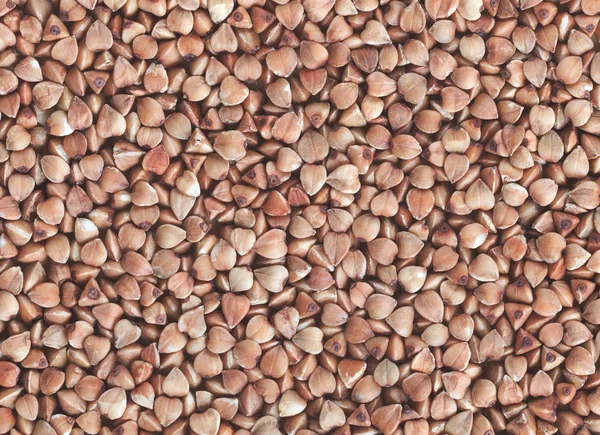 Buckweat grain macro background — Stock Photo, Image