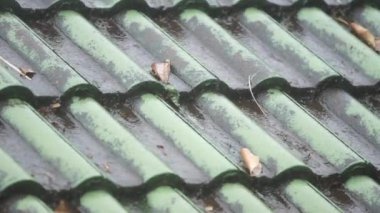 Yağmurlu bir günde ıslak çatıda. Güneydoğu Asya Raining sezonu.