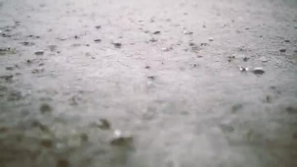 Rain droplets on a cement floor. — Stock Video