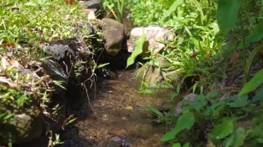 Bir çim alanda su akar ile drenaj.