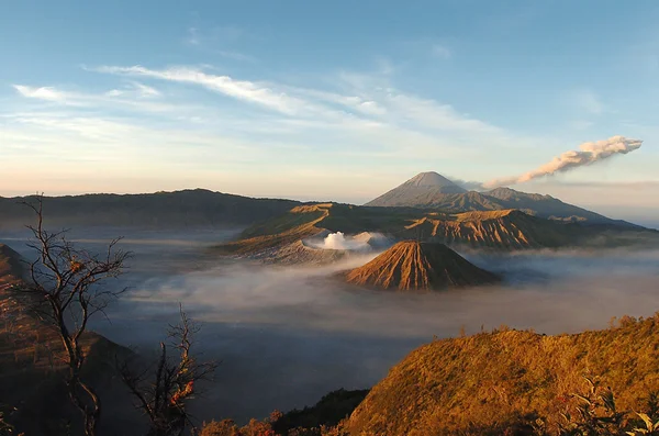 Volcanos Mount Semeru and Mount Bromo Stock Photo