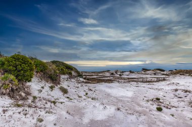 Deer Lake State Park, Güney Walton County, Florida. Şeker beyazı kum tepeleri ve kırık çitler..