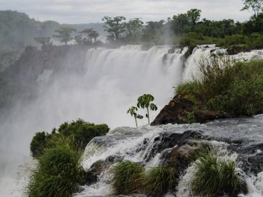 Arjantin Iguazu Şelalesi