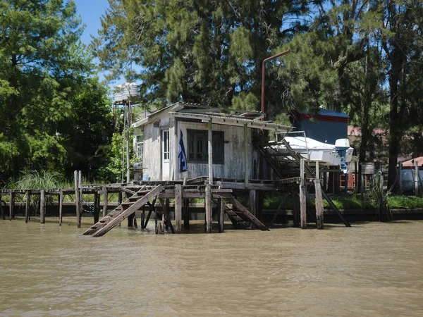 Pohled na desku River Delta, Argentina — Stock fotografie