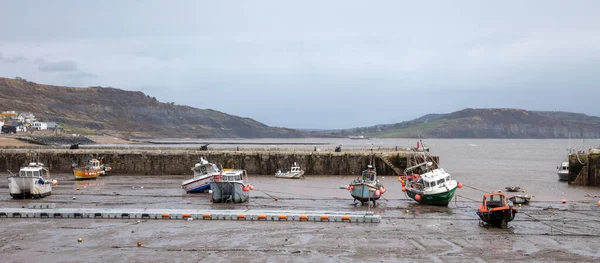 Landscape View Lyme Regis Seaside Town Dorset — Stock Photo, Image