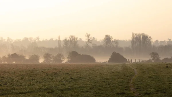 A misty morning in rural england countryside with no people seen