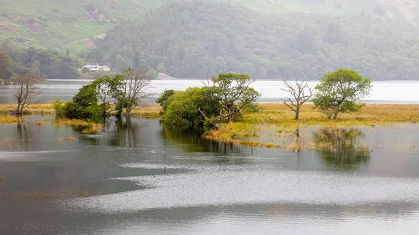 Eine Landschaftsaufnahme Von Überschwemmungen Bei Derwent Water Lake District Großbritannien — Stockfoto