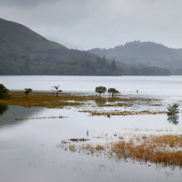 Uma Vista Panorâmica Das Inundações Derwent Water Lake District Reino — Fotografia de Stock