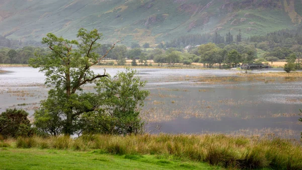 Uma Vista Panorâmica Das Inundações Derwent Water Lake District Reino — Fotografia de Stock