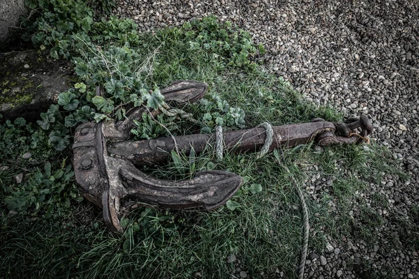 Çimenlerde Yatan Eski Paslı Bir Çapa — Stok fotoğraf