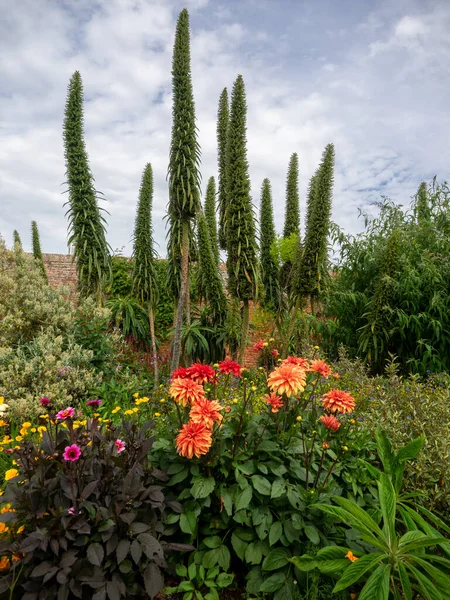 Una Hermosa Exhibición Plantas Jardín Con Plantas Puntiagudas Detrás —  Fotos de Stock