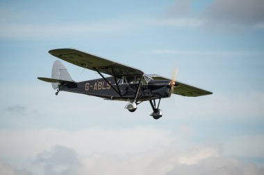 De Havilland Dh80a Puss güve uçak