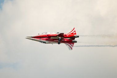 Patrouille Suisse F5 çifti