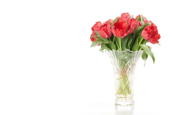 Bouquet of red fresh spring tulips in vase on right side. — Stock Photo, Image