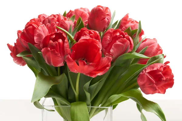 Close up of bouquet of red fresh spring tulips. — Stock Photo, Image