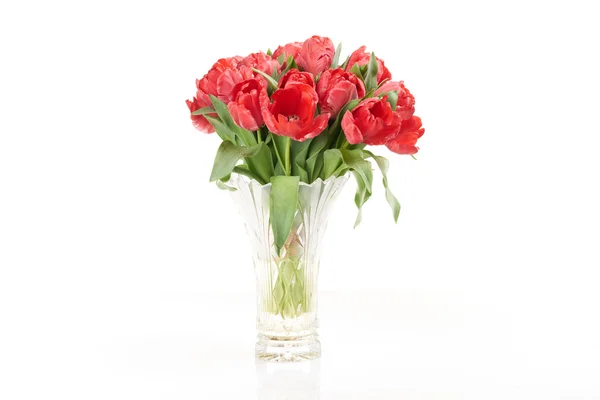 Bouquet of red fresh tulips in vase. — Stock Photo, Image