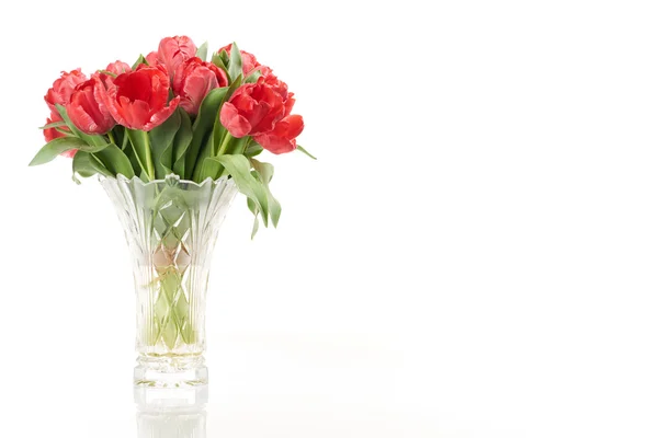 Bouquet of red fresh spring tulip flowers in vase on left side. — Stock Photo, Image
