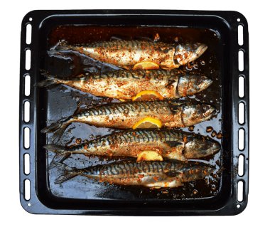 Siyah plaka üzerinde balık.