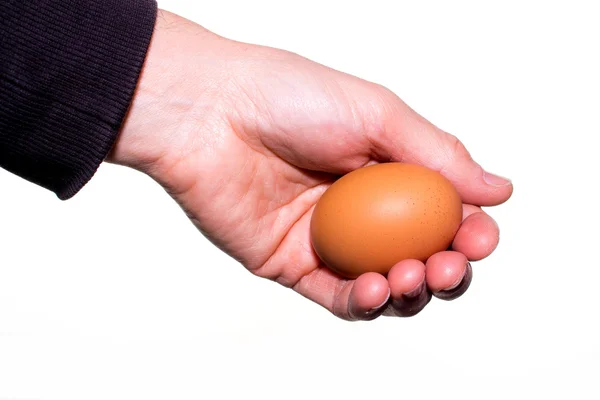 Mão segura um ovo de galinha — Fotografia de Stock