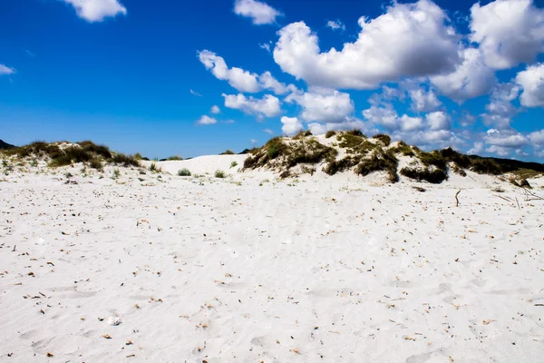 Dune di sabbia su una spiaggia — Foto Stock