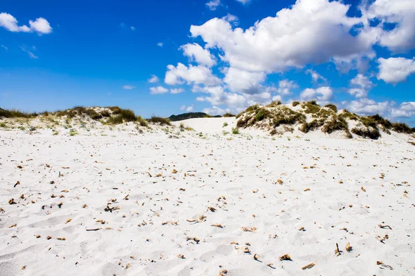 Zandduinen op een strand — Stockfoto