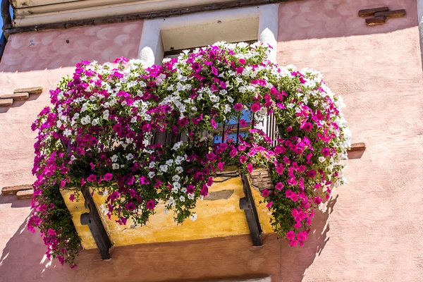 Un bellissimo balcone fiorito — Foto Stock