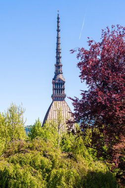 Mole Antonelliana, Turin, İtalya için bir dönüm noktası