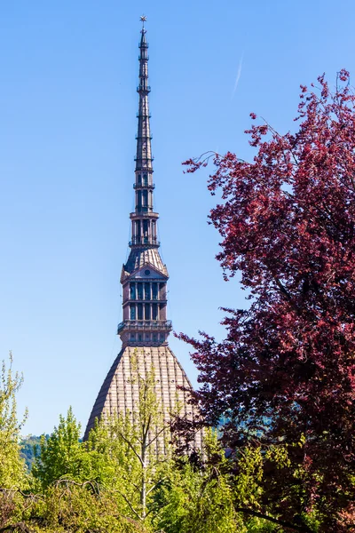 The Mole Antonelliana, a landmark in Turin, Italy — Stock Photo, Image