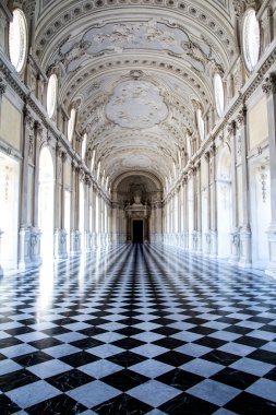 Büyük galeride Venaria Royal Palace, Torino, İtalya