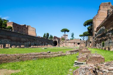 Roma, İtalya Palatine Tepesi'ndeki Stadyumu kalıntıları 