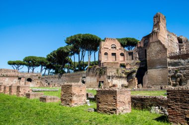 Roma, İtalya Palatine Tepesi'ndeki Stadyumu kalıntıları 