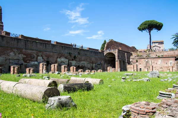 De ruïnes van het stadion op de Palatijn in Rome, Italië — Stockfoto