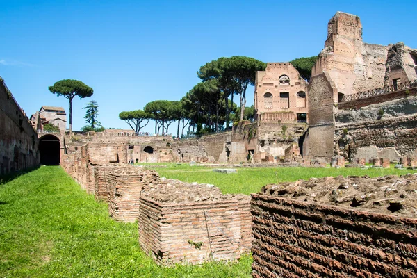 Roma, İtalya Palatine Tepesi'ndeki Stadyumu kalıntıları — Stok fotoğraf