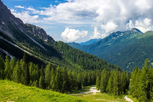 Summer panorama from the mountains — Stock Photo, Image