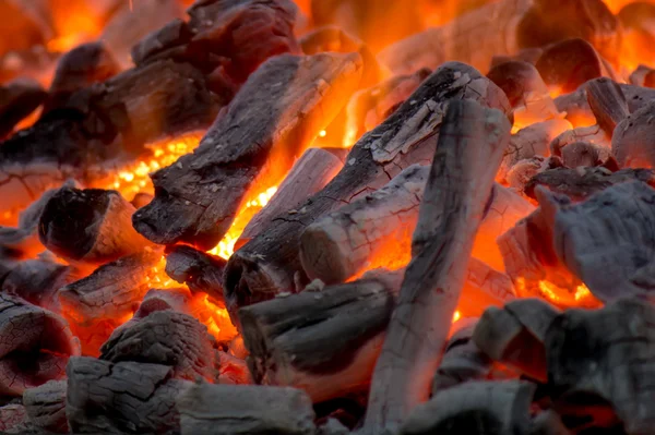 Burning wood — Stock Photo, Image